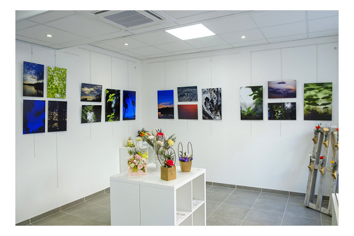 Exposition Langages de la Nature au Thor en 2019